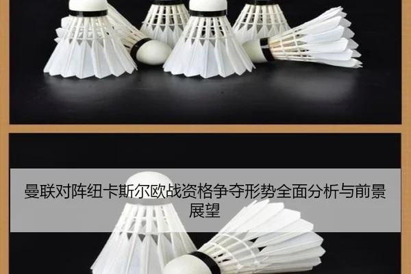 曼联对阵纽卡斯尔欧战资格争夺形势全面分析与前景展望